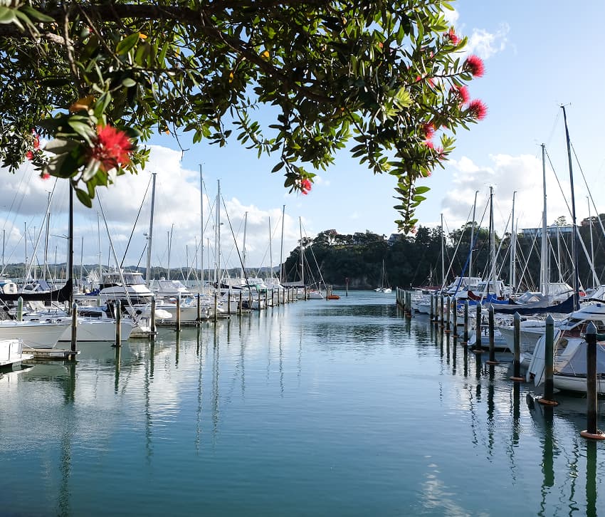 Doves Bay Marina (Kerikeri Cruising Club)